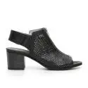 Nero Giardini sandal down woman with zip closure on the back foot color black Article 100 P717772D