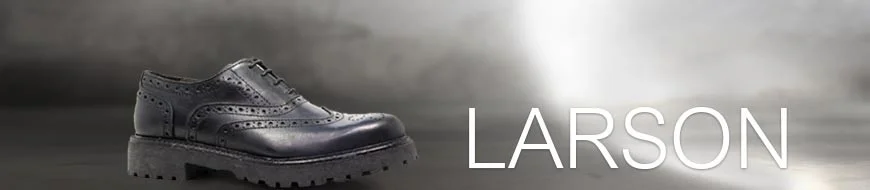 Larson women shoes on line
